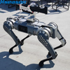 B1 Quadruped Robot Dog